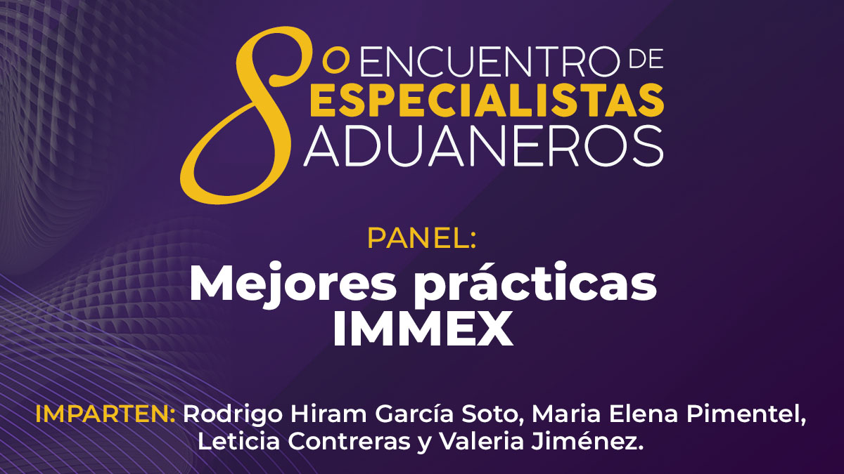 08 panel mejores practicas immex