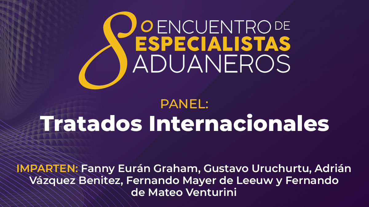 09 panel tratados internacionales