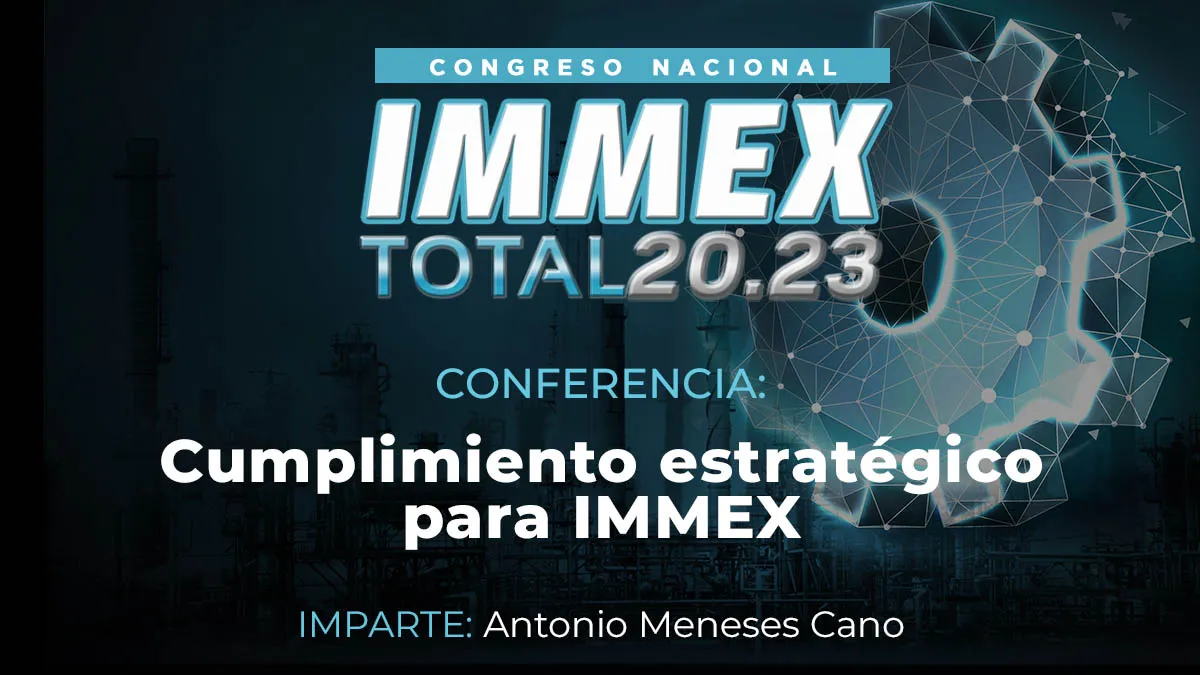 IMMEX04